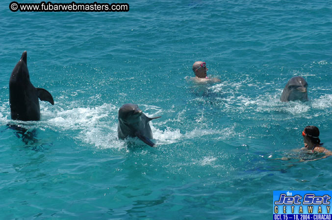 Saturday'sDolphin Swim Adventure and Animal Encounter 2004
