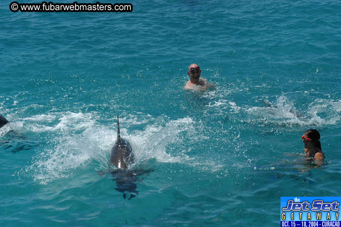 Saturday'sDolphin Swim Adventure and Animal Encounter 2004