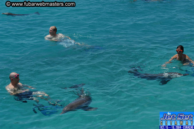 Saturday'sDolphin Swim Adventure and Animal Encounter 2004