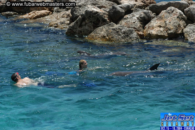 Saturday'sDolphin Swim Adventure and Animal Encounter 2004