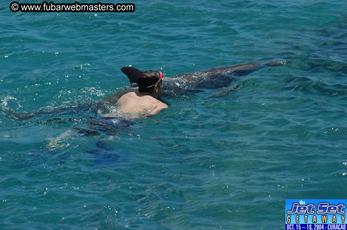 Saturday'sDolphin Swim Adventure and Animal Encounter 2004