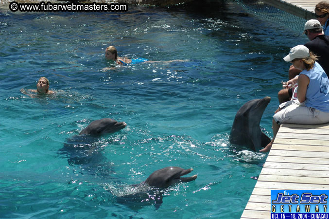 Saturday'sDolphin Swim Adventure and Animal Encounter 2004
