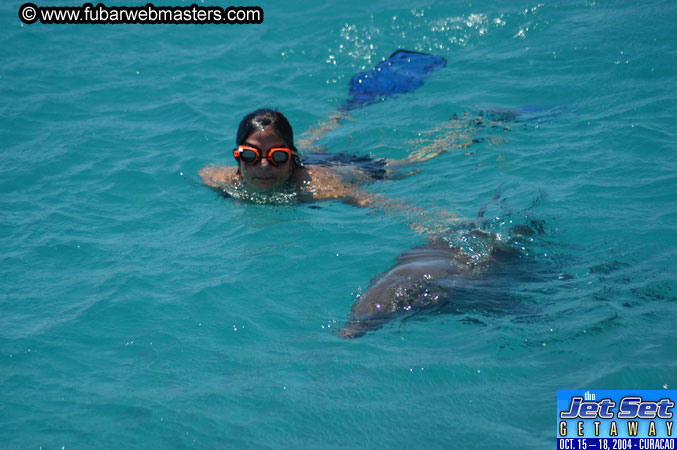 Saturday'sDolphin Swim Adventure and Animal Encounter 2004