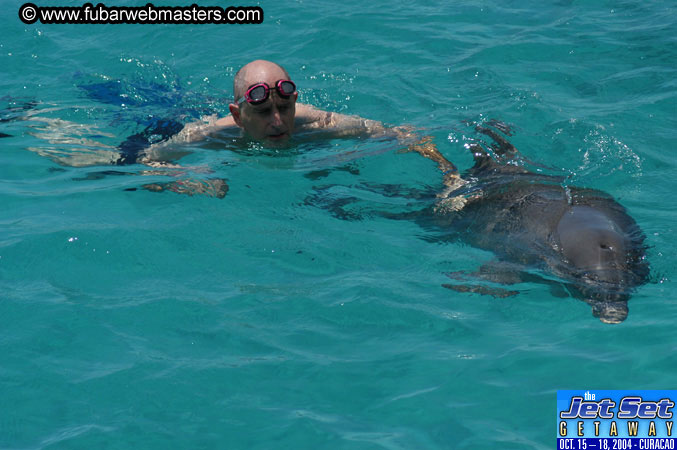 Saturday'sDolphin Swim Adventure and Animal Encounter 2004