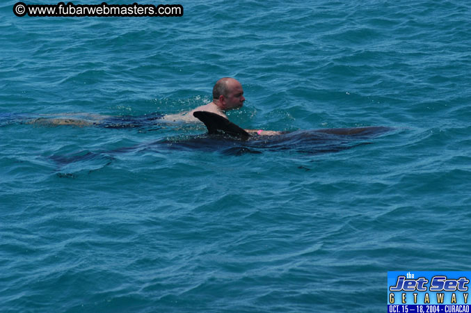 Saturday'sDolphin Swim Adventure and Animal Encounter 2004