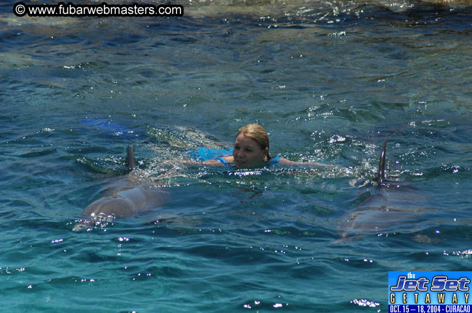 Saturday'sDolphin Swim Adventure and Animal Encounter 2004