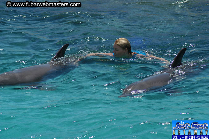 Saturday'sDolphin Swim Adventure and Animal Encounter 2004