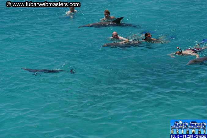 Saturday'sDolphin Swim Adventure and Animal Encounter 2004