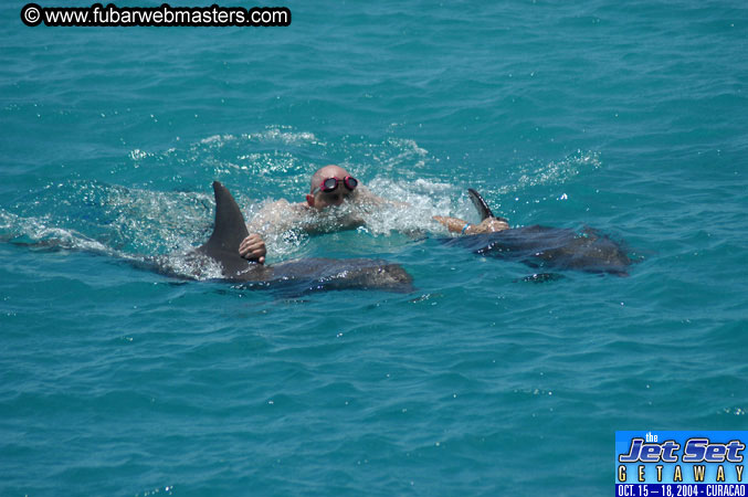 Saturday'sDolphin Swim Adventure and Animal Encounter 2004