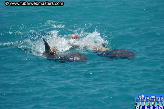 Saturday'sDolphin Swim Adventure and Animal Encounter 2004