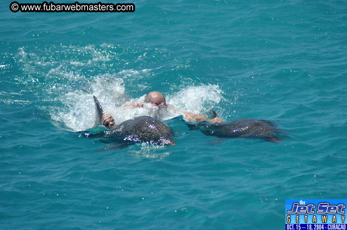 Saturday'sDolphin Swim Adventure and Animal Encounter 2004