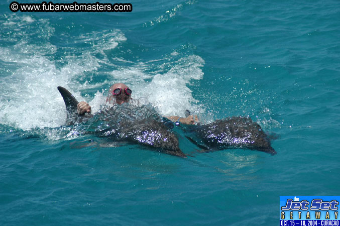 Saturday'sDolphin Swim Adventure and Animal Encounter 2004