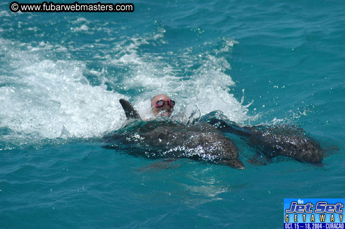 Saturday'sDolphin Swim Adventure and Animal Encounter 2004