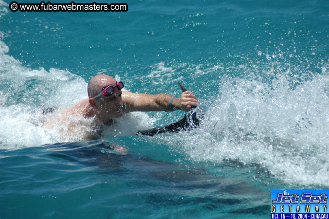 Saturday'sDolphin Swim Adventure and Animal Encounter 2004