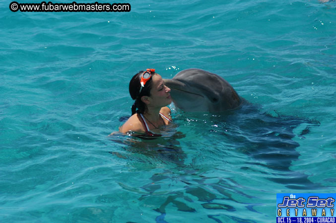Saturday'sDolphin Swim Adventure and Animal Encounter 2004