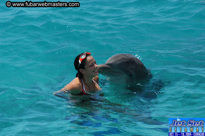 Saturday'sDolphin Swim Adventure and Animal Encounter 2004