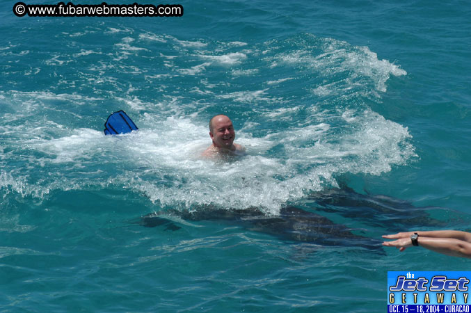 Saturday'sDolphin Swim Adventure and Animal Encounter 2004