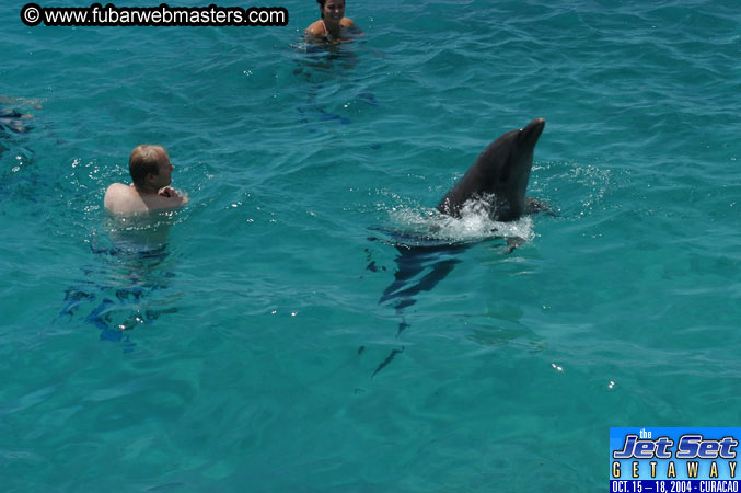 Saturday'sDolphin Swim Adventure and Animal Encounter 2004