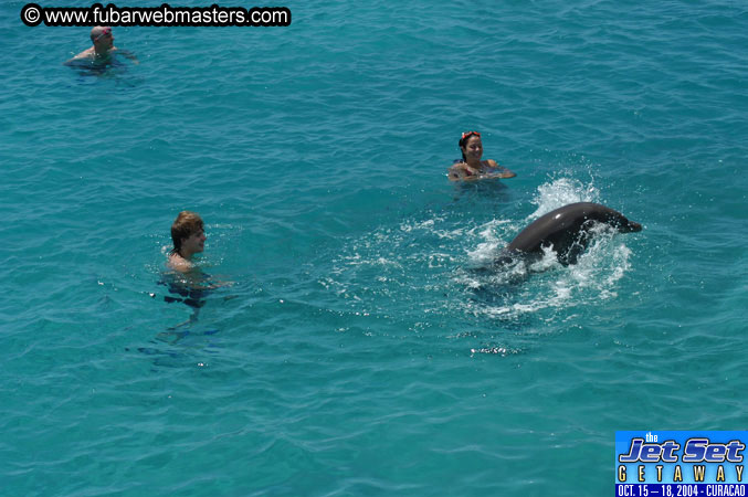 Saturday'sDolphin Swim Adventure and Animal Encounter 2004