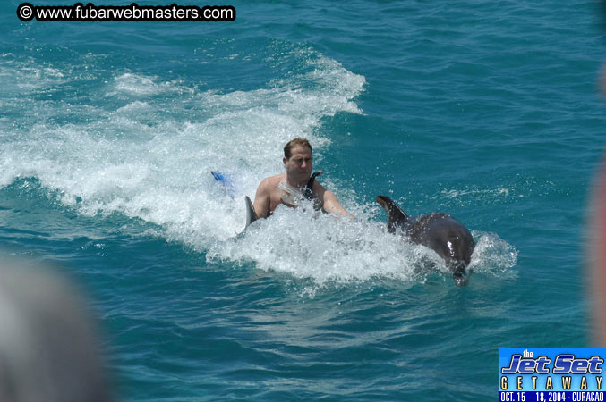 Saturday'sDolphin Swim Adventure and Animal Encounter 2004