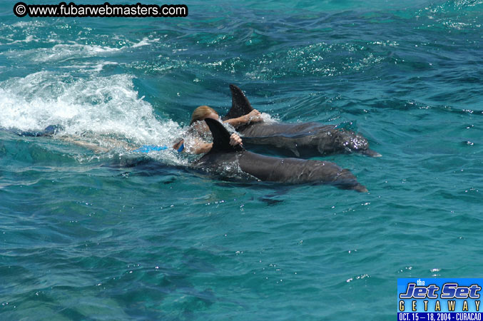 Saturday'sDolphin Swim Adventure and Animal Encounter 2004