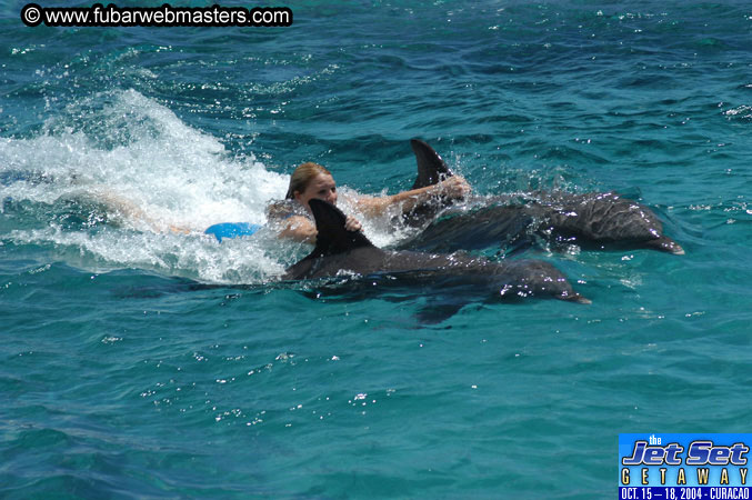 Saturday'sDolphin Swim Adventure and Animal Encounter 2004