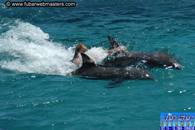Saturday'sDolphin Swim Adventure and Animal Encounter 2004