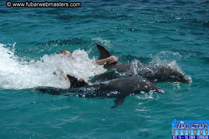 Saturday'sDolphin Swim Adventure and Animal Encounter 2004