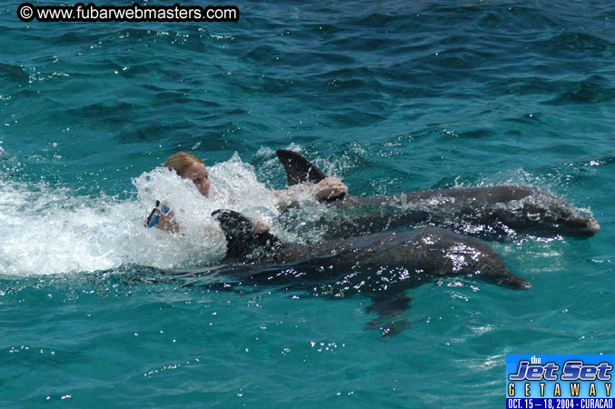 Saturday'sDolphin Swim Adventure and Animal Encounter 2004