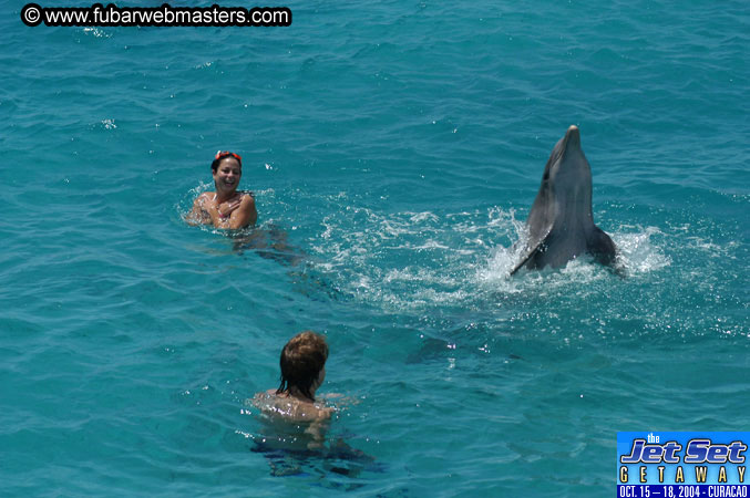 Saturday'sDolphin Swim Adventure and Animal Encounter 2004