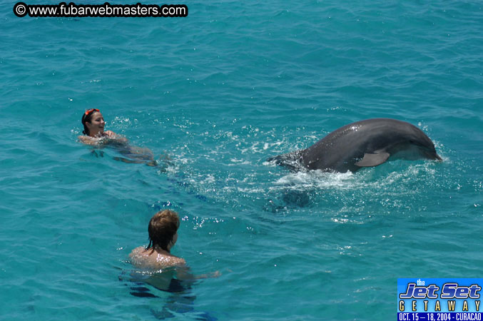 Saturday'sDolphin Swim Adventure and Animal Encounter 2004