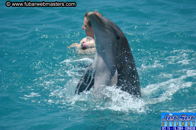 Saturday'sDolphin Swim Adventure and Animal Encounter 2004