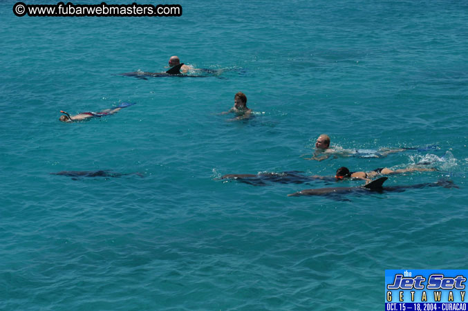 Saturday'sDolphin Swim Adventure and Animal Encounter 2004