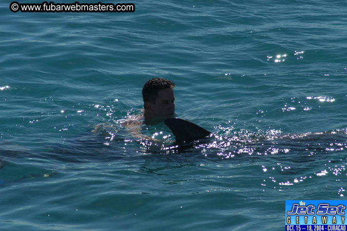Saturday'sDolphin Swim Adventure and Animal Encounter 2004