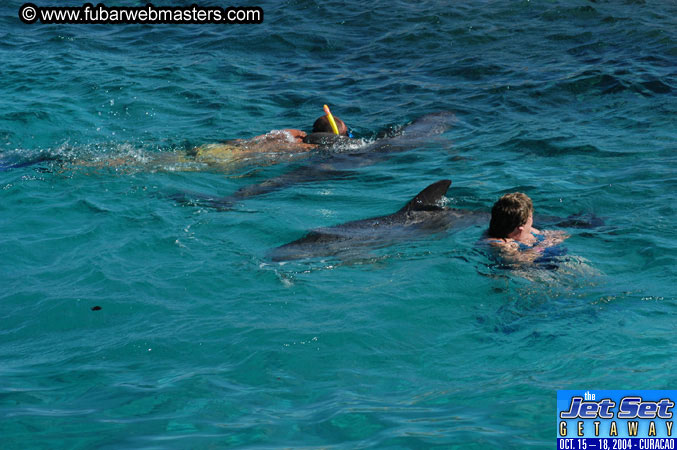 Saturday'sDolphin Swim Adventure and Animal Encounter 2004