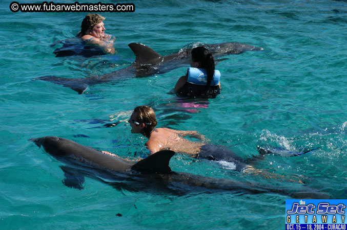 Saturday'sDolphin Swim Adventure and Animal Encounter 2004