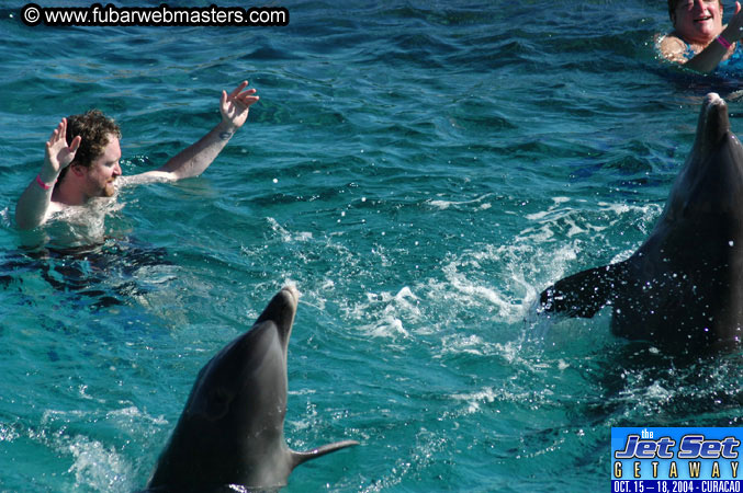 Saturday'sDolphin Swim Adventure and Animal Encounter 2004