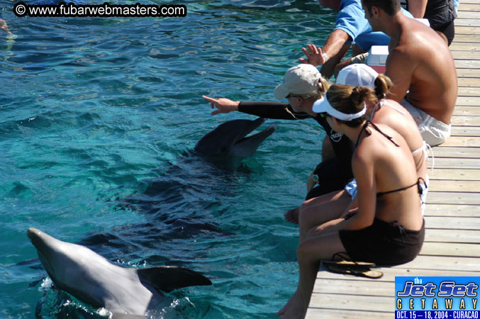 Saturday'sDolphin Swim Adventure and Animal Encounter 2004