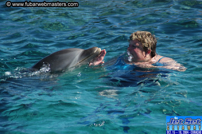 Saturday'sDolphin Swim Adventure and Animal Encounter 2004