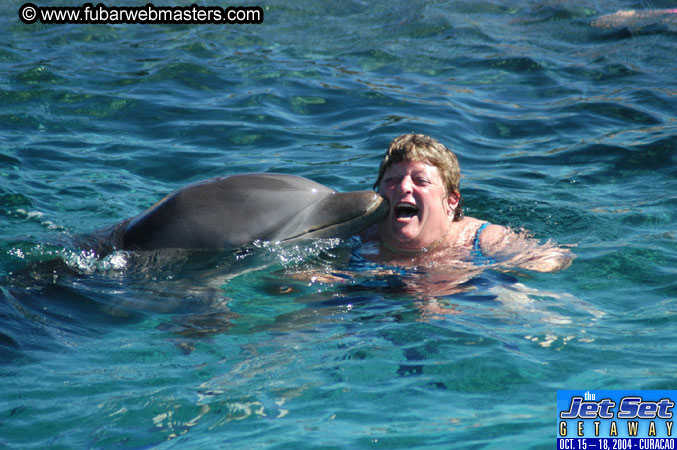 Saturday'sDolphin Swim Adventure and Animal Encounter 2004