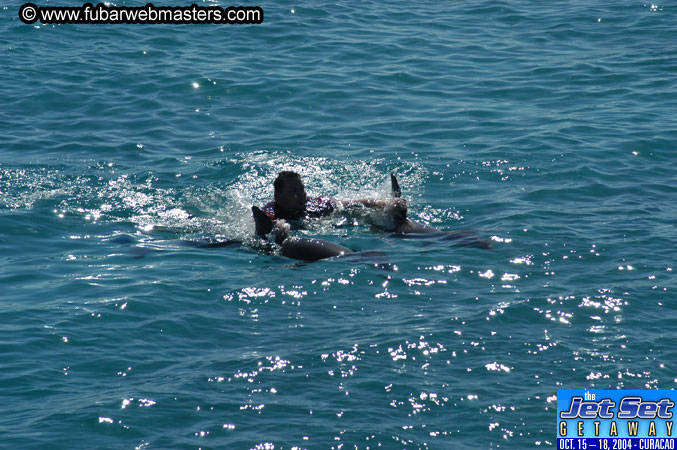Saturday'sDolphin Swim Adventure and Animal Encounter 2004