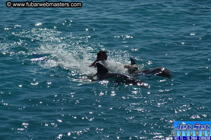 Saturday'sDolphin Swim Adventure and Animal Encounter 2004