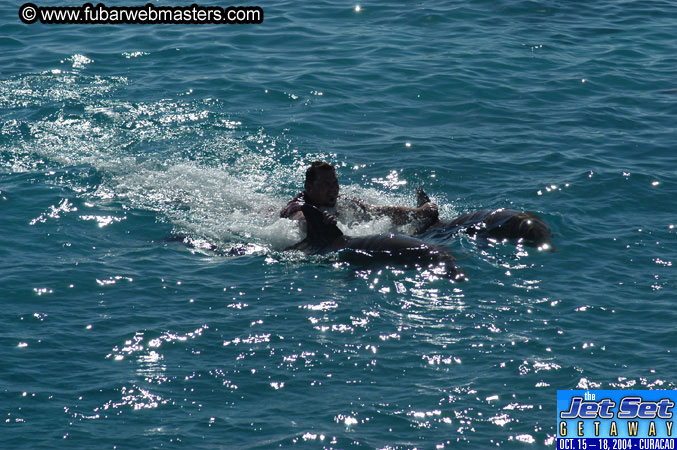 Saturday'sDolphin Swim Adventure and Animal Encounter 2004