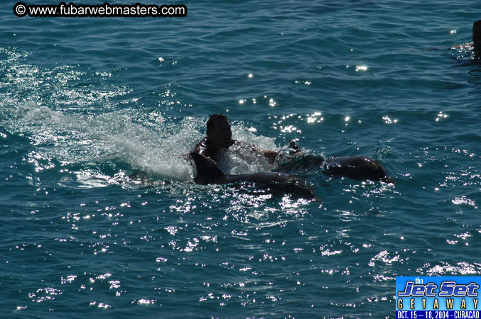 Saturday'sDolphin Swim Adventure and Animal Encounter 2004
