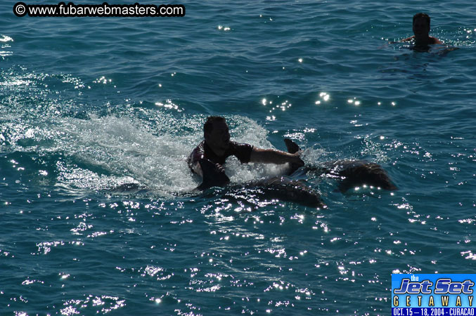 Saturday'sDolphin Swim Adventure and Animal Encounter 2004