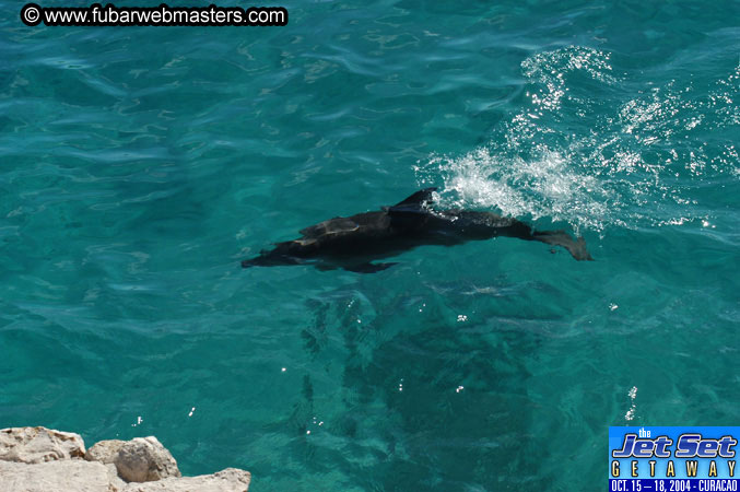 Saturday'sDolphin Swim Adventure and Animal Encounter 2004