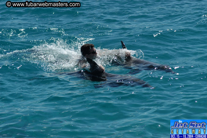 Saturday'sDolphin Swim Adventure and Animal Encounter 2004