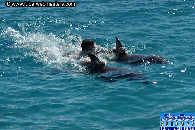 Saturday'sDolphin Swim Adventure and Animal Encounter 2004