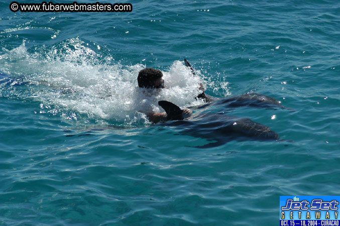 Saturday'sDolphin Swim Adventure and Animal Encounter 2004