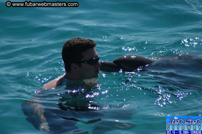 Saturday'sDolphin Swim Adventure and Animal Encounter 2004